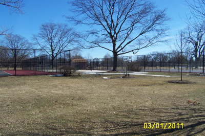 Custom Built Fence & Deck Image